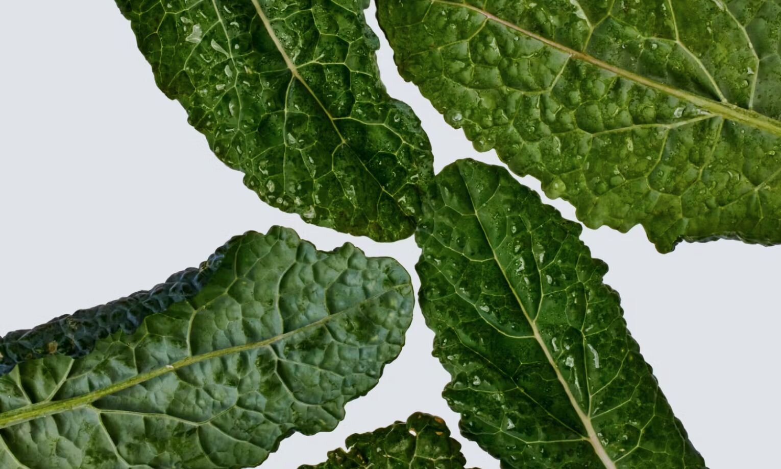 Magnesium Bisglycinate