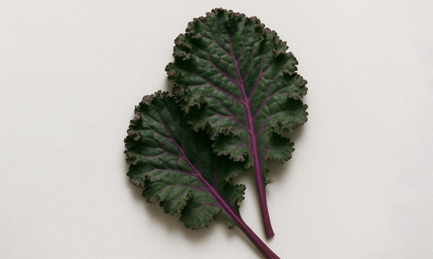 Magnesium Bisglycinate