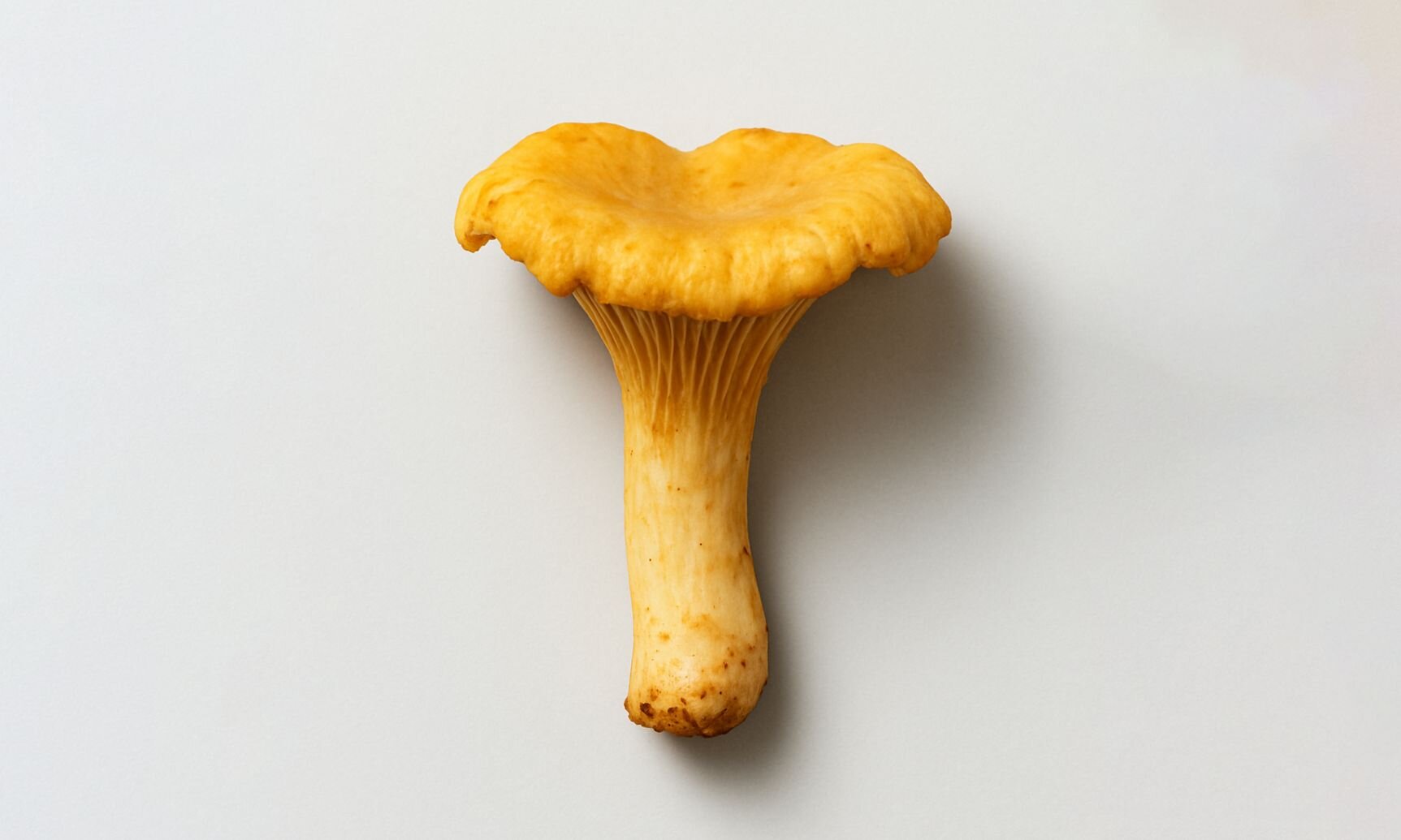 Cholecalciferol (Vitamin D3)