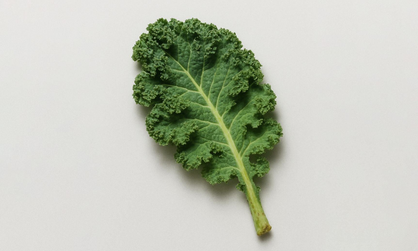 Pyridoxal-5’-Phosphate (Vitamin B6)