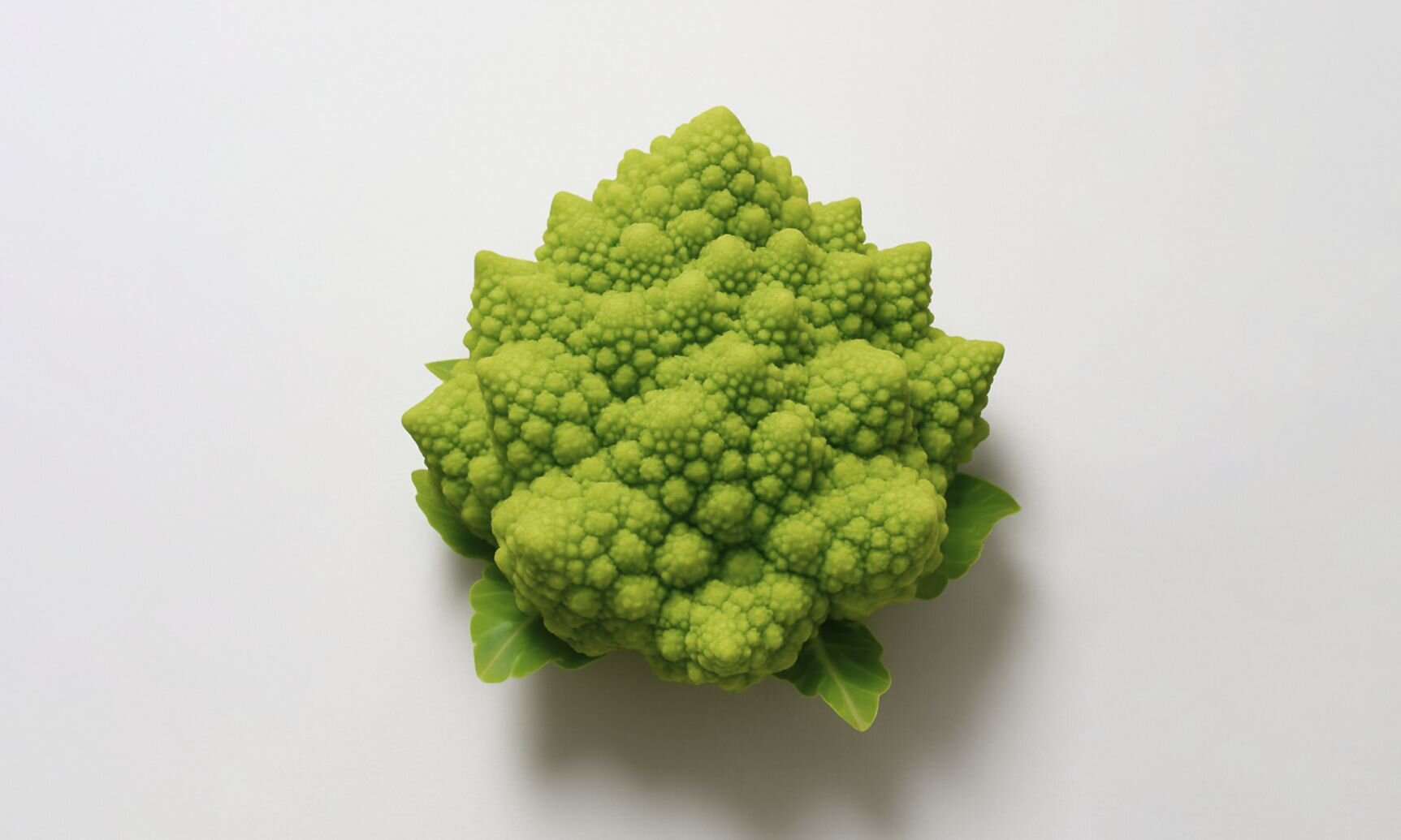 Cytidine Diphosphate-choline (CDP Choline)