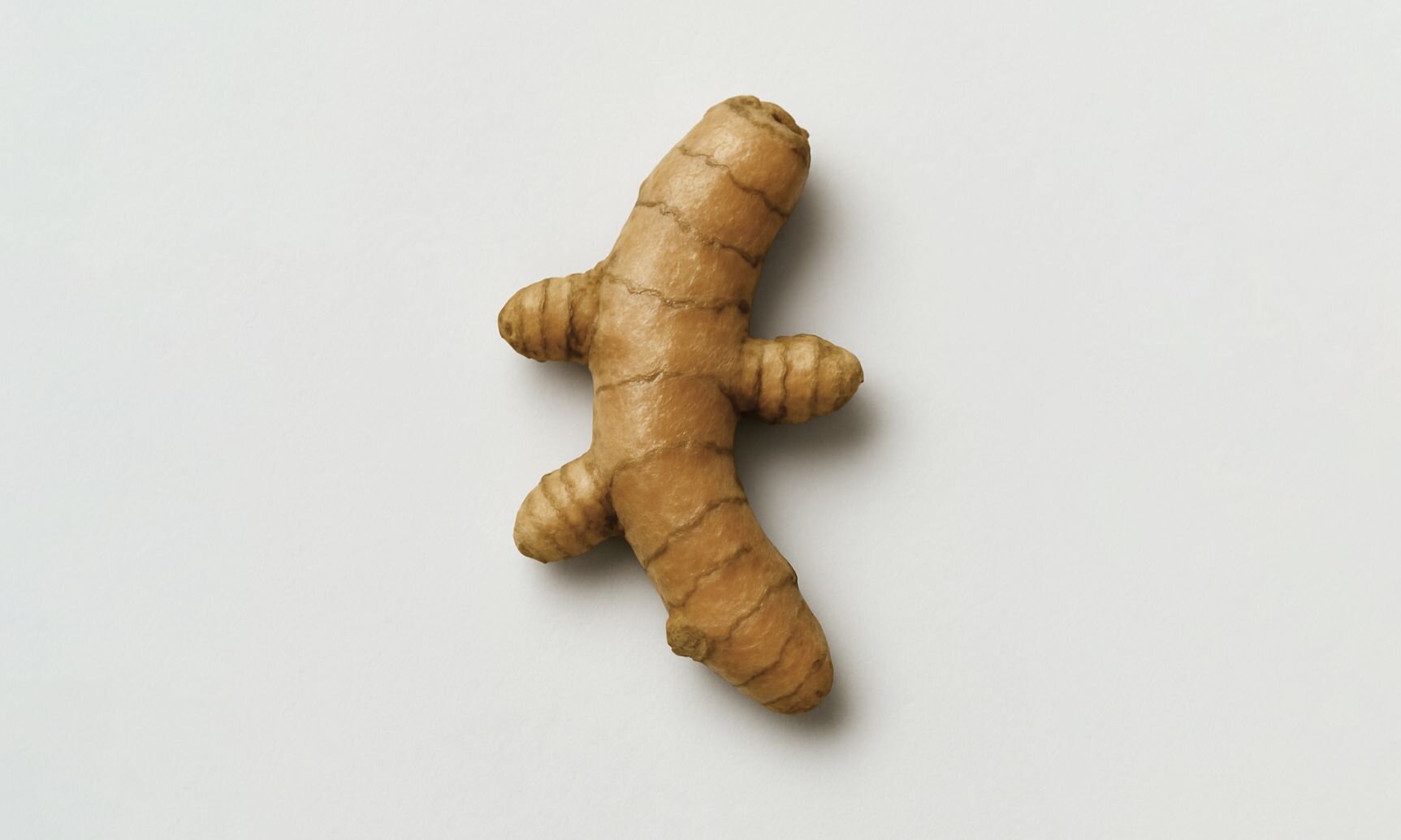 Curcuma Longa (Turmeric)