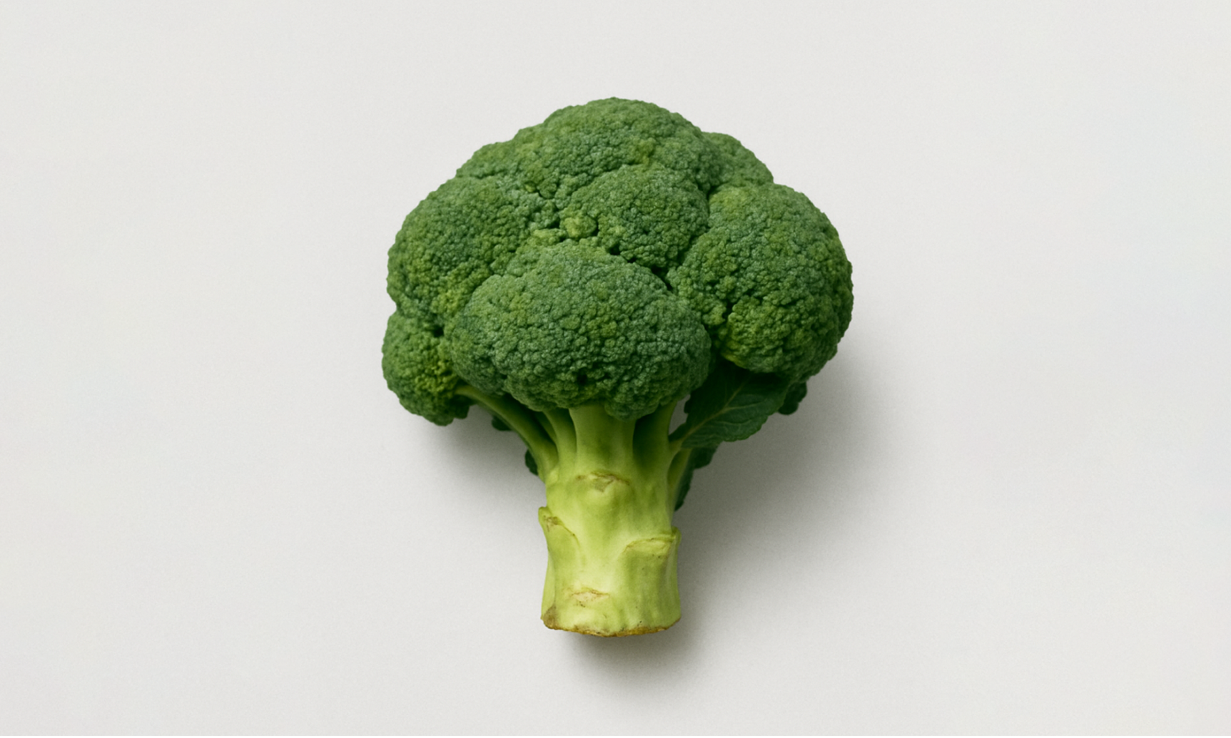 Brassica Oleracea (Broccoli Seed)