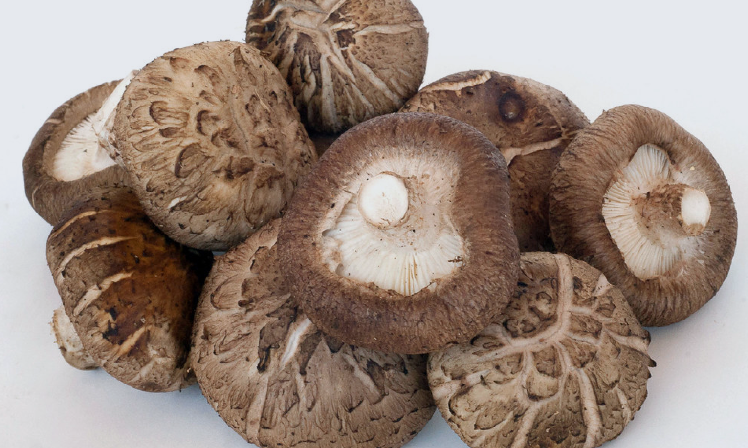 Spermidine Trihydrochloride