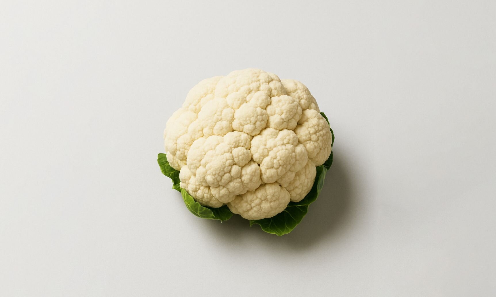 CoEnzyme Q10 Phospholipid (CoQ10)