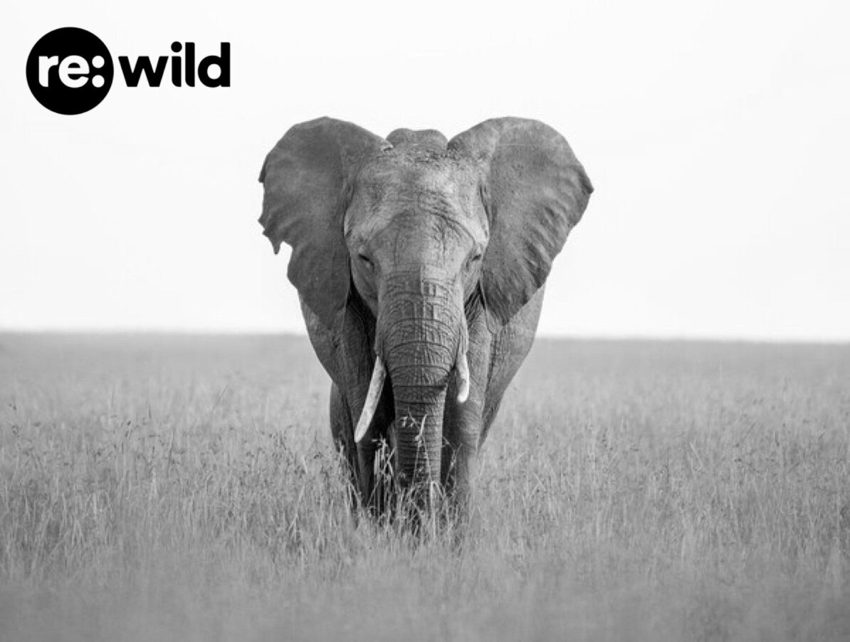 [placeholder] - this must be updated