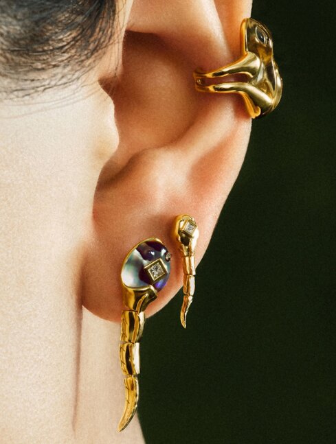 Earrings