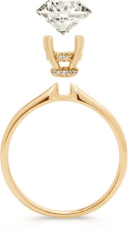 Image of an engagement ring