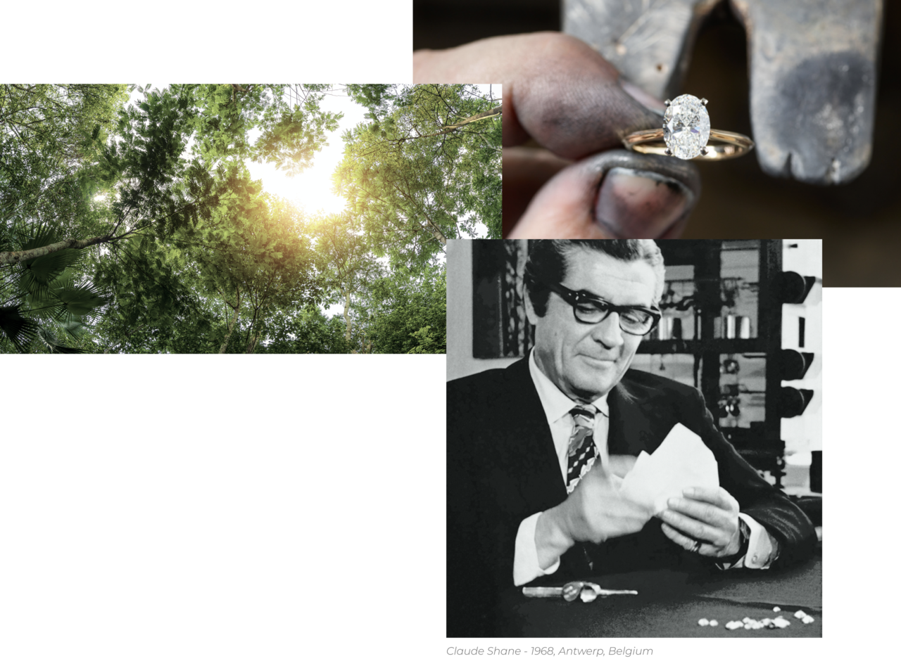 Images of a rainforest, a jewelers hand with an engagement ring and Claude Shane