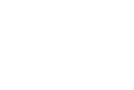 The Shane Co. Logo