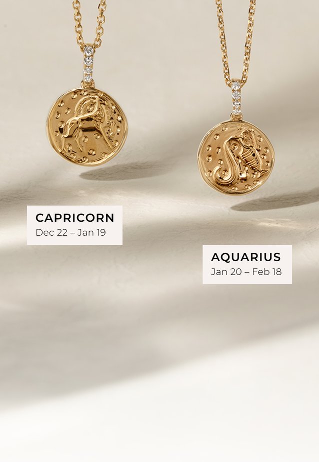 A capricorn and aquarius fashion pendant