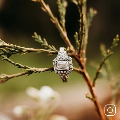 An engagement ring hanging on a tree branch