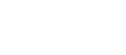 The Shane Co. Logo