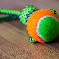 A throwable rope dog toy with a ball.