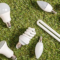 A variety of light bulbs on turf.