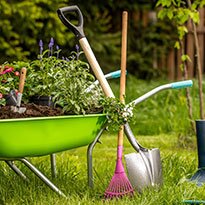 A pink rake and a shovel lean on a wheelbarrow.