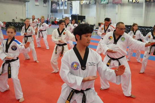 A group of people spaced evenly in lines and rows performing a martial arts technique together