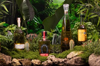 Four bottles of tequila and mezcal against a rainforest background.