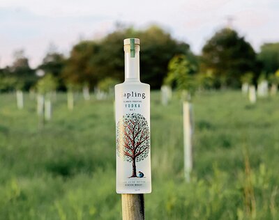 Sapling Climate Positive Vodka