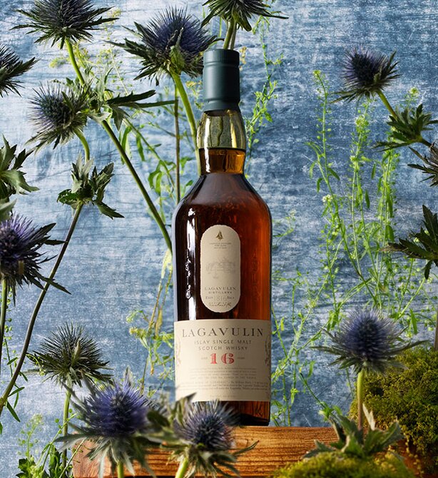 A bottle of Lagavulin 16 Year Old surrounded by thistles. 