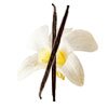 Vanilla