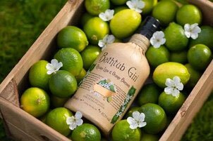 Lucas Bols on Master of Malt