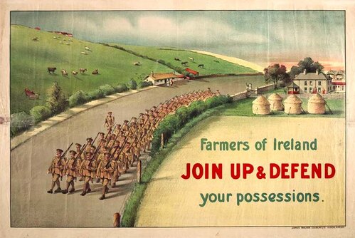 Poster from World War 1 asking farmers of Ireland to Join up & Defend your posessions