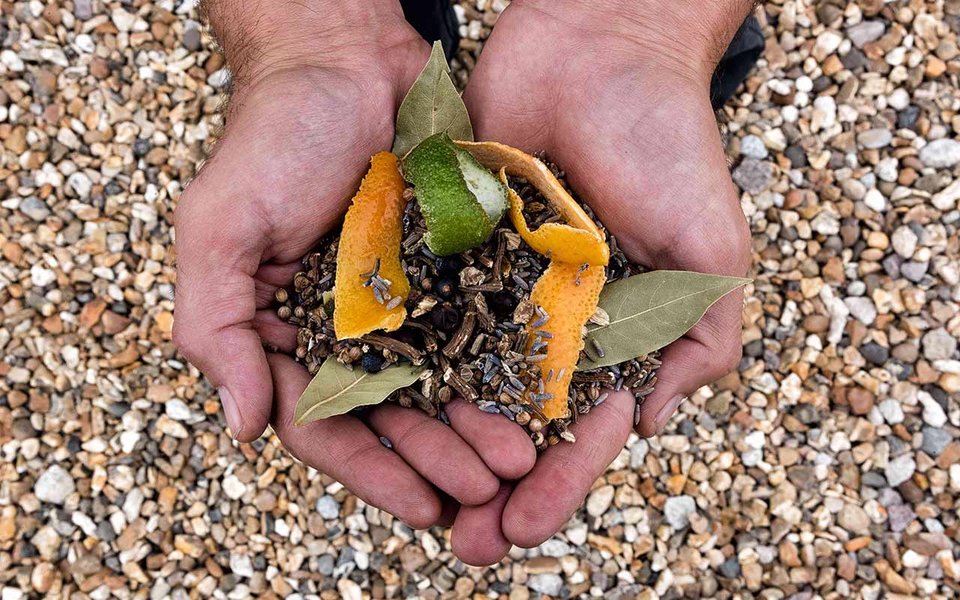 Hands holding gin botanicals such as juniper, bay leaf and citrus peels