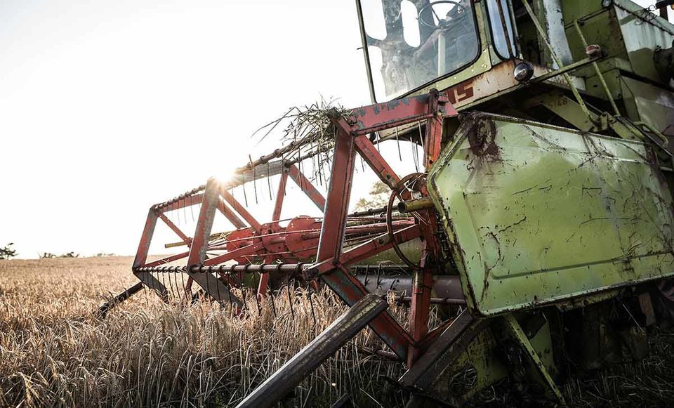 A combine harvester harvesting barley
