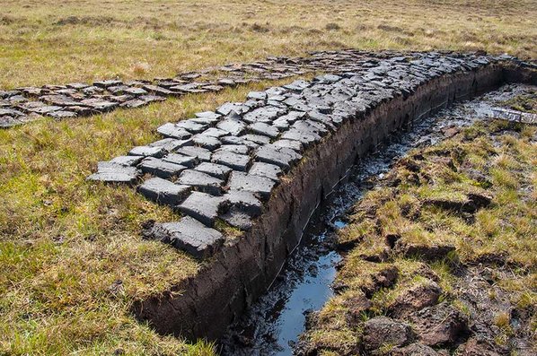 Peat bog