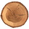 Oak