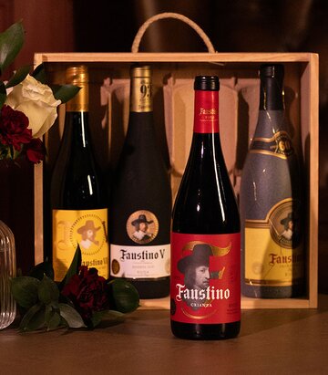 A box of Faustino Rioja Red Wine Experience Gift Pack