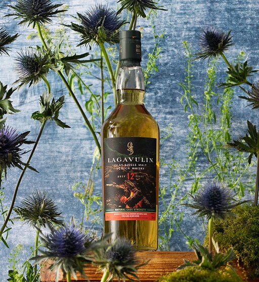 A bottle of Lagavulin 12 Year Old (Special Release 2024) surrounded by thistles.