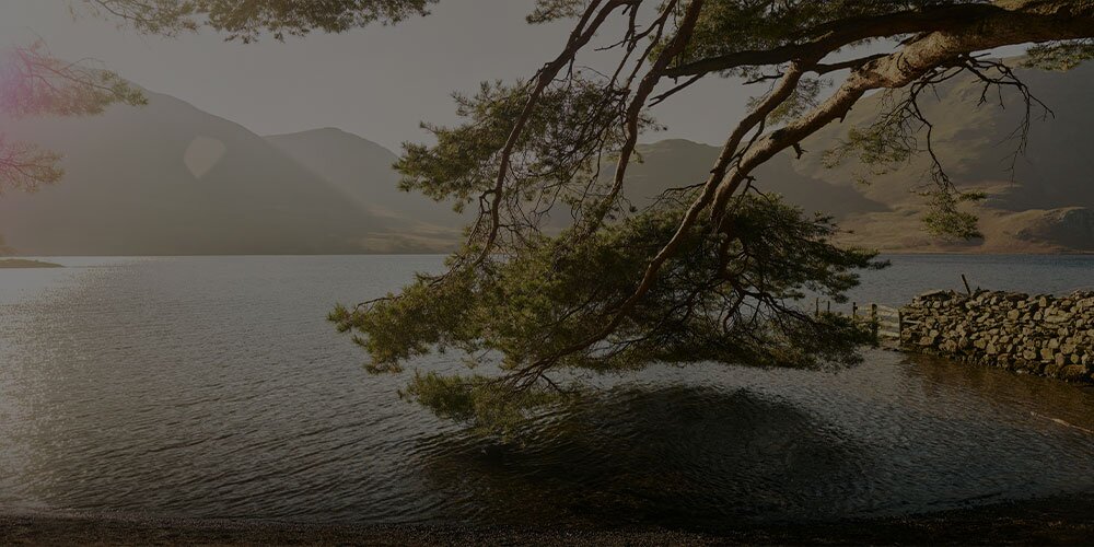 Idyllic lake view, The Lakes Distillery