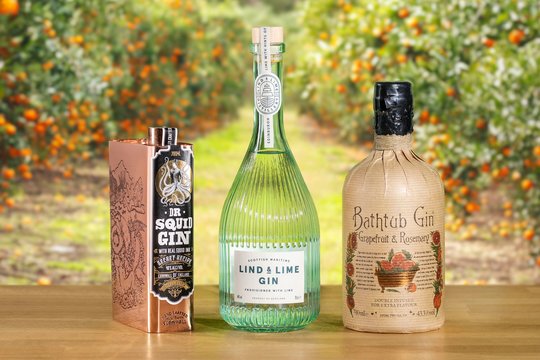 Three bottles of gin