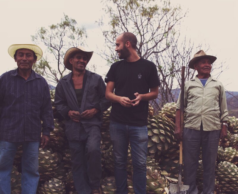 Jimadors who harvest Agave