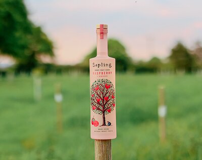 Sapling Raspberry & Hibiscus Vodka
