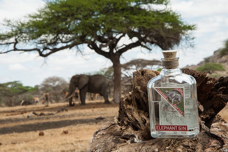 A bottle of Elephant London Dry Gin in front of an actual elephant