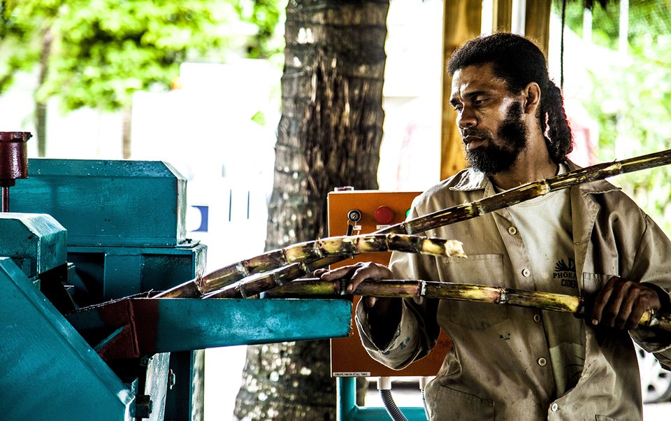 Sugar cane is processed at Takamaka Distillery in the Seychelles