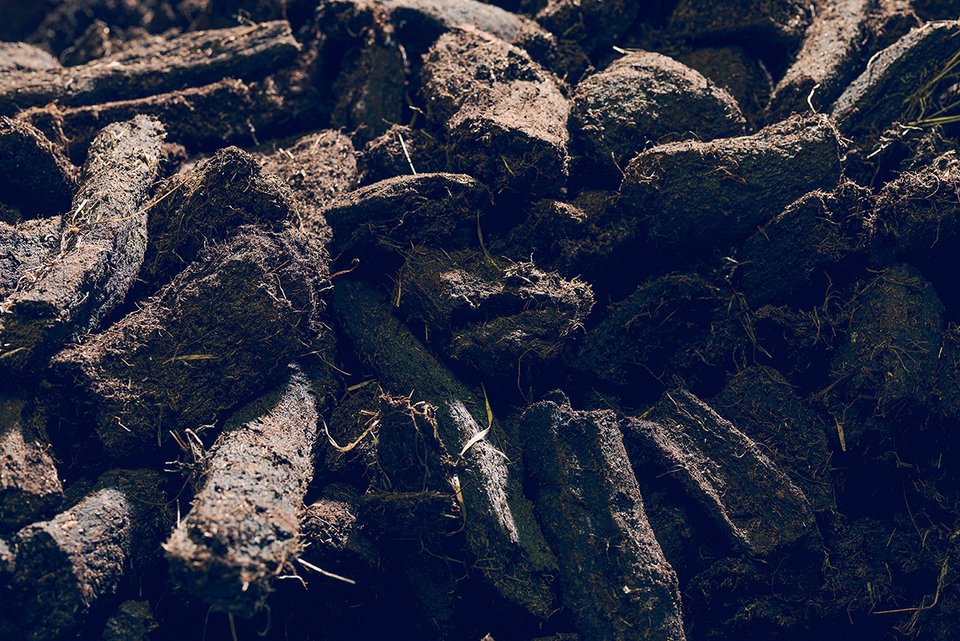 Peat in the ground