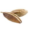 Barley