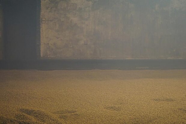 Kiln drying Barley using Peat Smoke