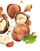 Hazelnuts