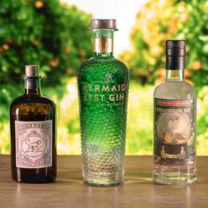 Three bottles of Gin on a bright green garden background.