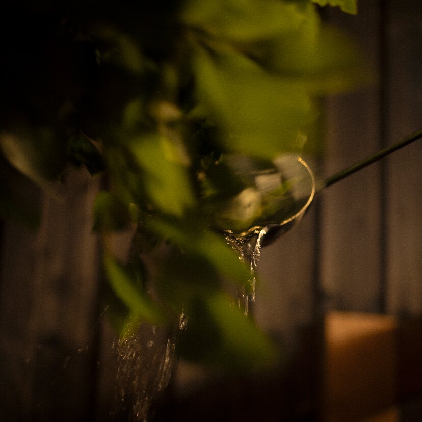 Kyrö Sauna Stories No.2 in a sauna.