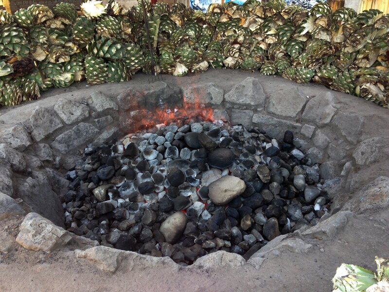 Agave being cooked