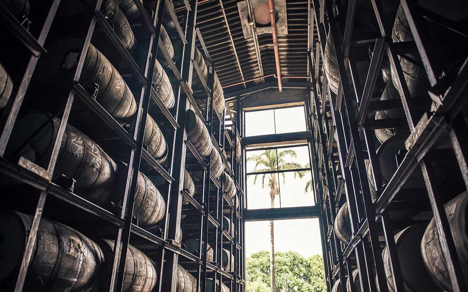 Casks of Diplomatico rum maturing in Venezuela.