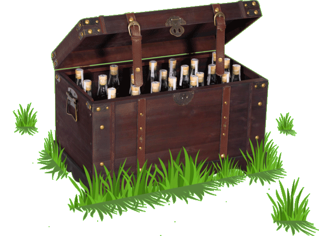 The chest full of prizes