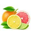Citrus Fruits