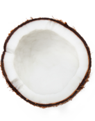 Coconut